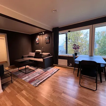 Modern Arctic Leilighet *