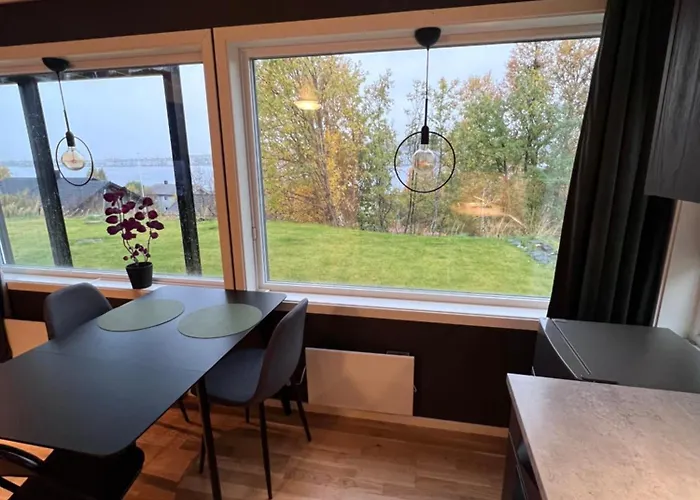 Modern Arctic